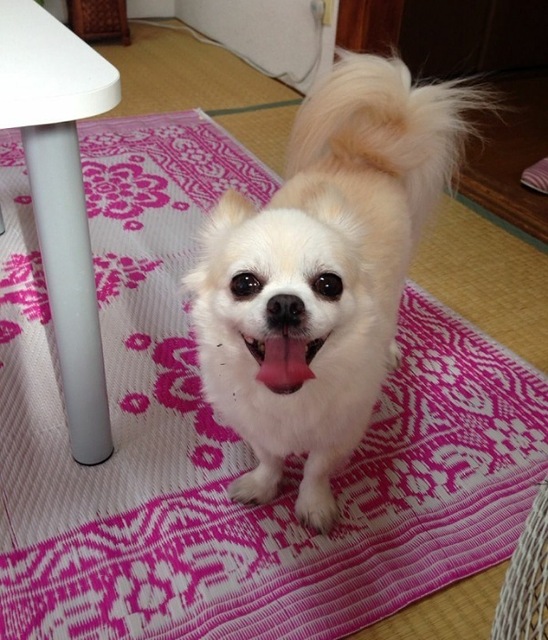 IMG_05052021_141105_(600_x_700_ピクセル).jpg