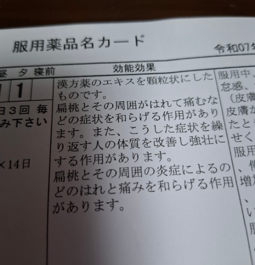 IMG_20250313_143910_(500_x_520_ピクセル).jpg