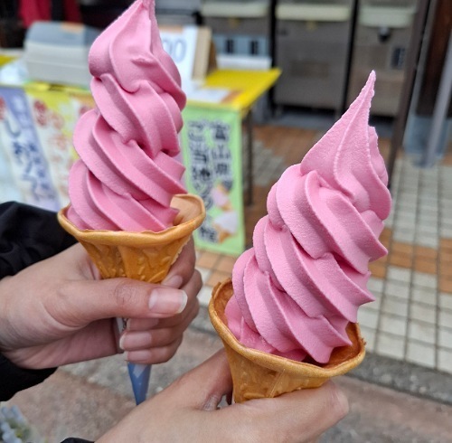 IMG_20250509_120625_(500_x_490_ピクセル).jpg