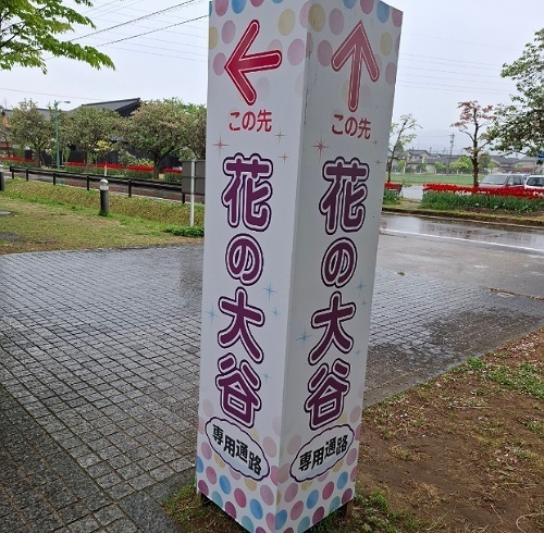 IMG_20250509_120924_(500_x_490_ピクセル).jpg