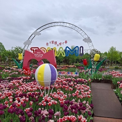 IMG_20250519_174010_(390_x_390_ピクセル).jpg